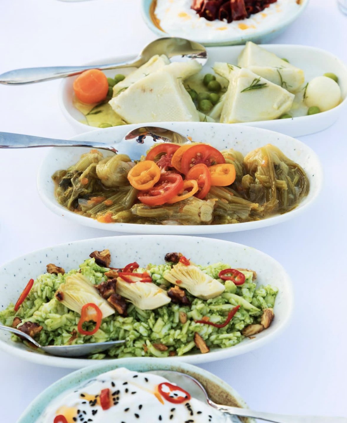 Lago Bodrum - Serpme Kahvaltı -Beach - Meze Balık 2 IMG 6129